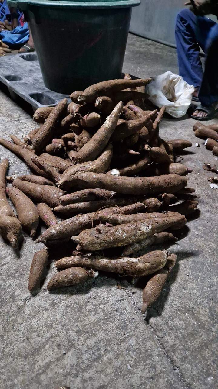 Visite de kassaverie - Guadeloupe